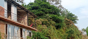 Casa oma